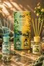 SASTA 2 Lİ BAMBU KOKU SETİ 50 ML+50 ML DİSPLAY 21X4 = 84 KUTU